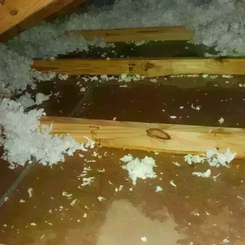 Attic Water Damage in Alexandria, LA