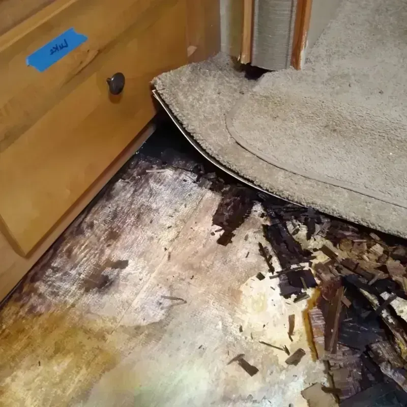 Wood Floor Water Damage in Alexandria, LA